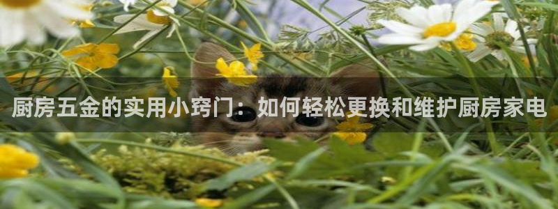 cq9电子武圣网址