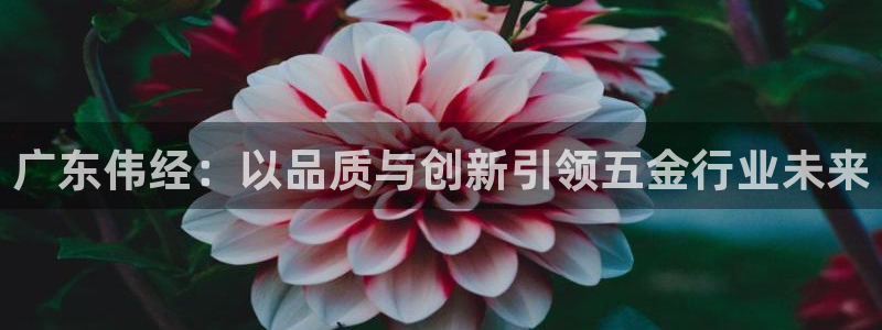 cq9电子游戏系统