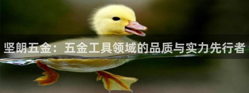 有电子cQ9的棋牌