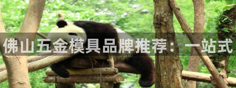 cq9传奇电子视频