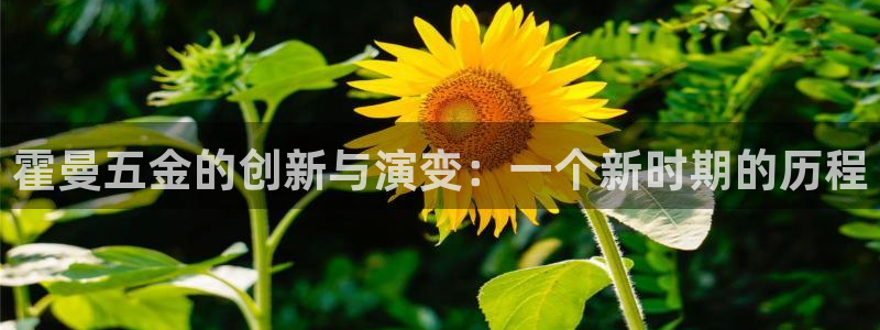 电子变脸游戏cq9