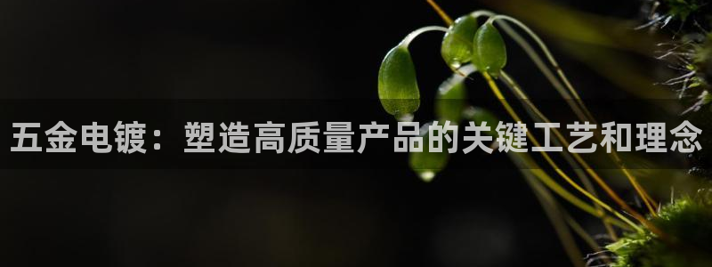 cq9传奇电子博彩网址