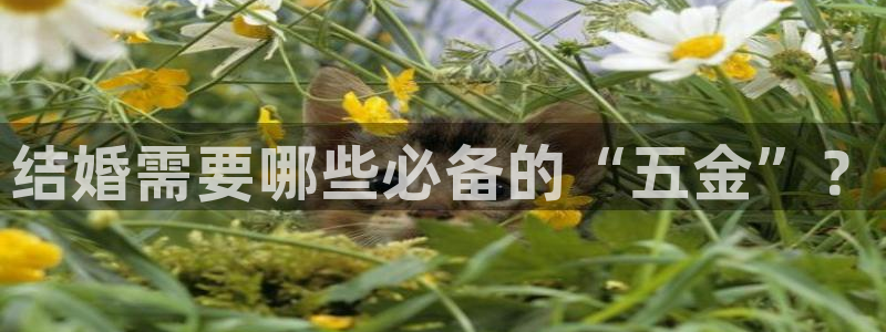 cq9电子金大款游戏