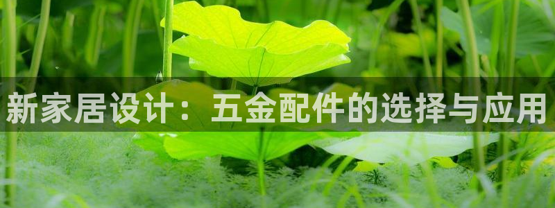 cq9电子辅助功能