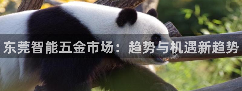 传奇电子cq9浴火