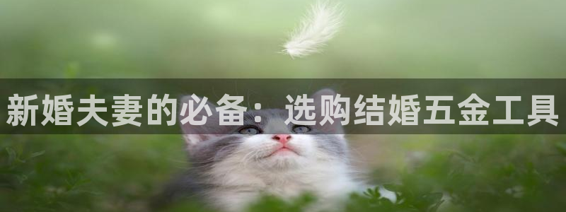 太阳娱乐cq9电子