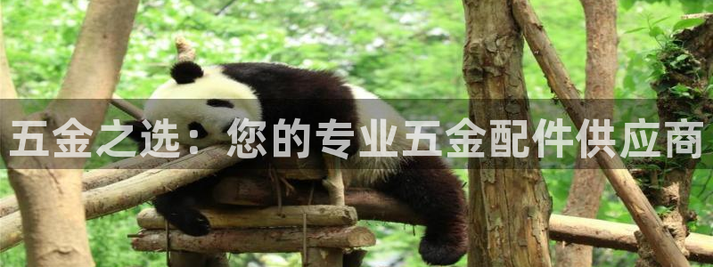 CQ9传奇电子大奖截图