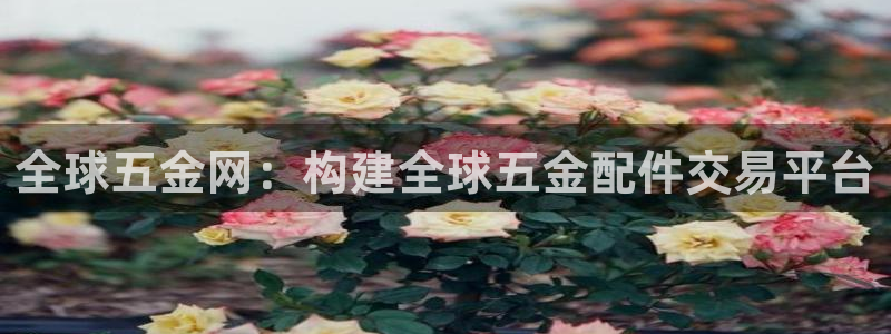 cq9传奇电子 水世界