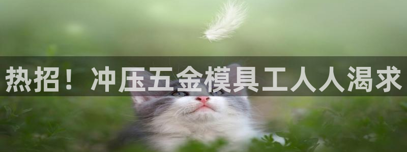 cq9传奇电子网址链接