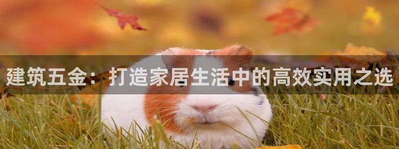 cq9电子游戏揭秘