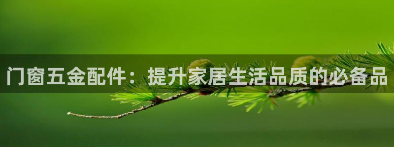 电子游戏cq9规则