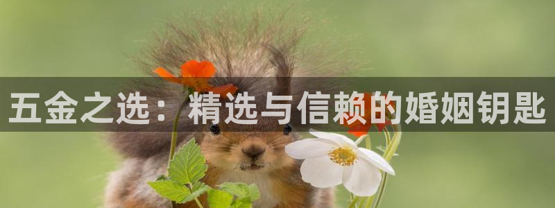 cq9电子官网平台