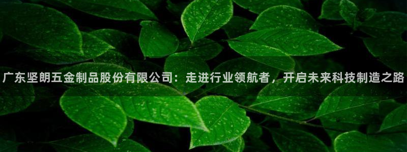 cq9电子游戏外挂