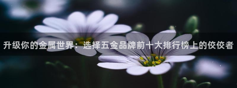 cq9电子专用平台