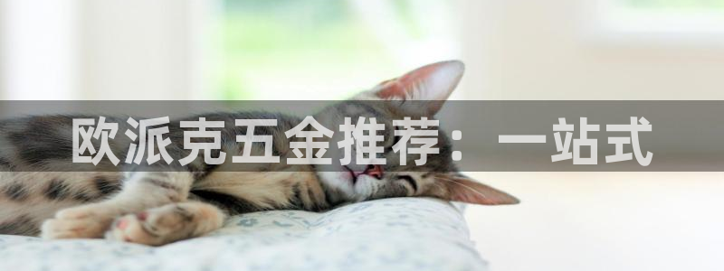 cq9传奇电子游戏