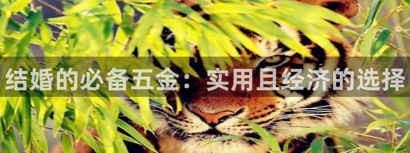 cq9电子游艺成功了吗