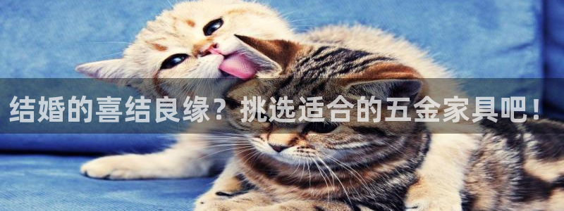 电子cq9