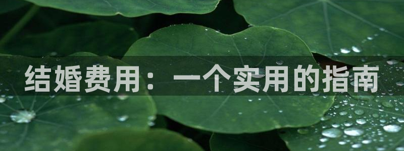 cq9电子服务器