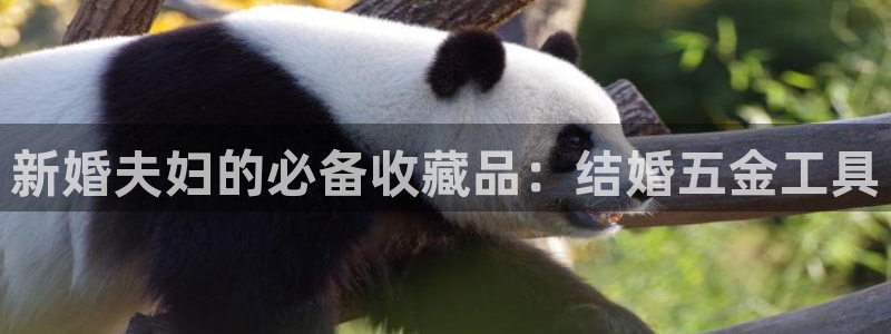 CQ9电子火之女王
